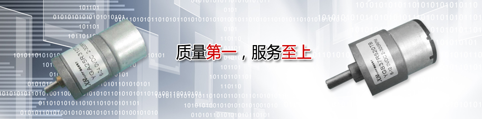 編碼器(譯碼器)減速電機(jī)