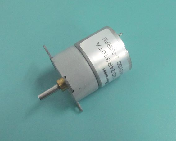 微型減速電機YGB24R310TA